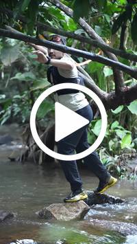 BIB:  <button type="button" onclick="openModal(27809066)" class="btn btn-primary btn-sm float-right" data-toggle="modal" data-target=".modal-high-quality">
                <i class="fa fa-download"></i> Download
                </button>